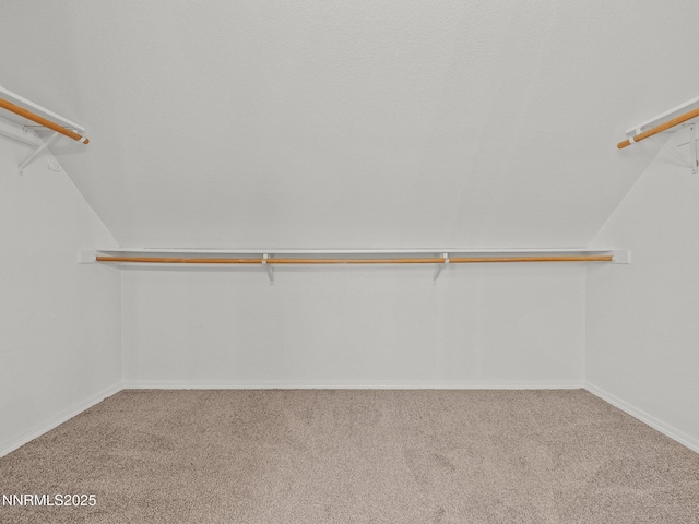 4070 Quinn Dr, Carson City, NV 89701 - photo 22