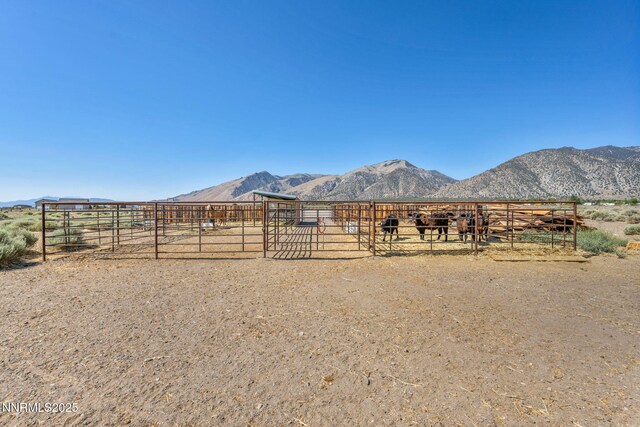 45 Madison Way, Smith Valley, NV 89444 - photo 42