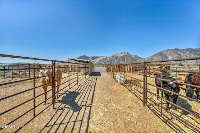 45 Madison Way, Smith Valley, NV 89444 - photo 23