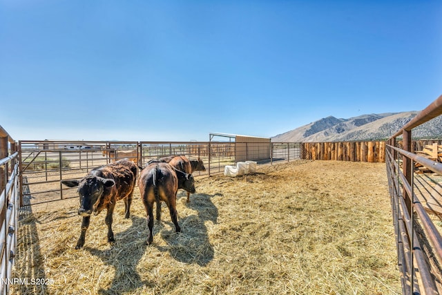 45 Madison Way, Smith Valley, NV 89444 - photo 44
