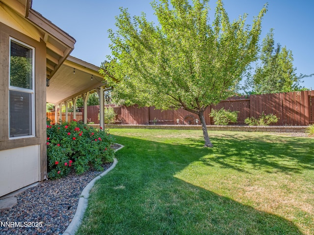 963 Desert Ct, Carson City, NV 89705 - photo 40