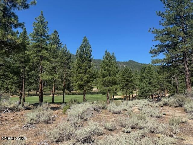193 Redding Way Unit 257, Carson City, NV 89705 - photo 4