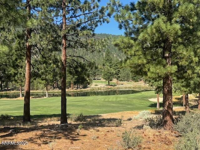 193 Redding Way Unit 257, Carson City, NV 89705 - photo 2