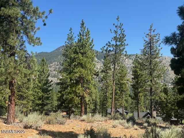 193 Redding Way Unit 257, Carson City, NV 89705 - photo 5