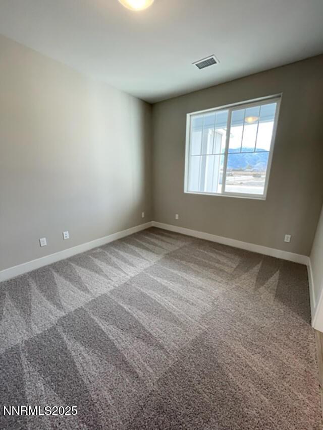 1608 Delta Downs Dr Unit 61, Minden, NV 89423 - photo 9