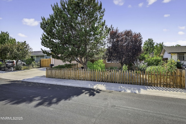 3354 Vista Grande Blvd, Carson City, NV 89705 - photo 3