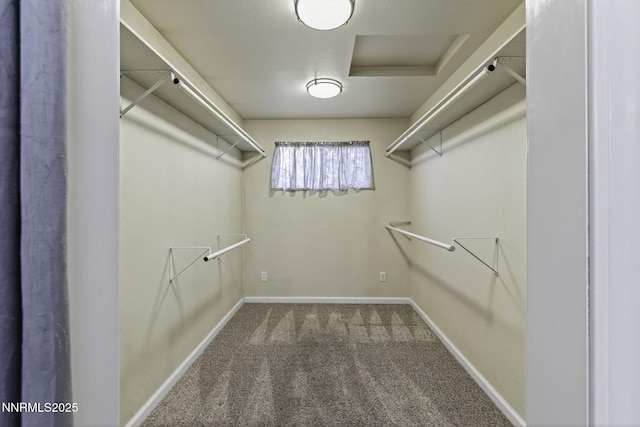 3354 Vista Grande Blvd, Carson City, NV 89705 - photo 24