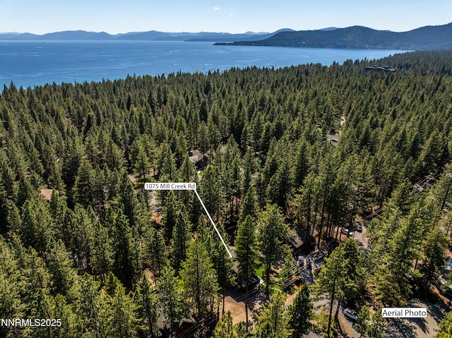 1075 Mill Creek Rd, Incline Village, NV 89451 - photo 40