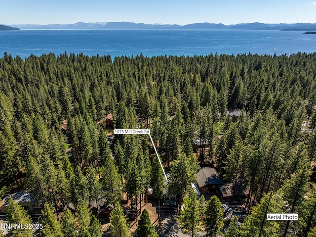 1075 Mill Creek Rd, Incline Village, NV 89451 - photo 41