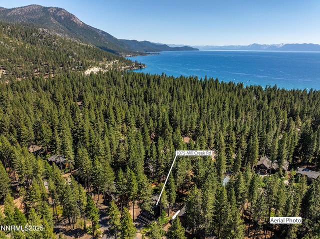 1075 Mill Creek Rd, Incline Village, NV 89451 - photo 42