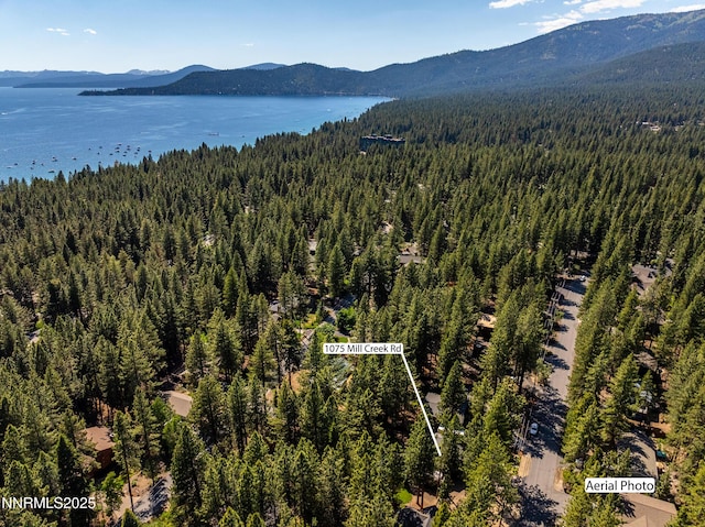 1075 Mill Creek Rd, Incline Village, NV 89451 - photo 43