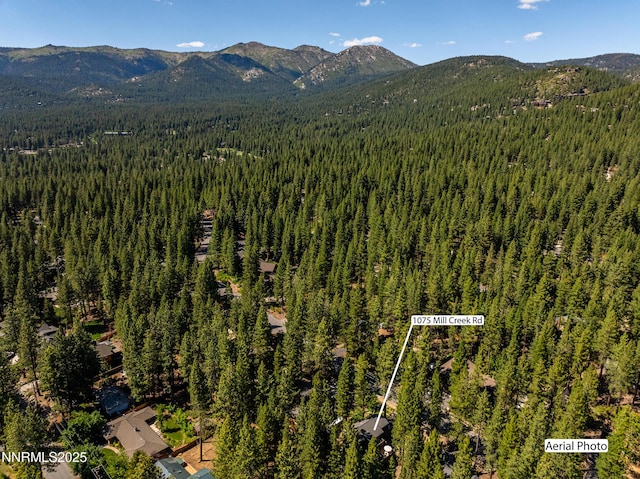 1075 Mill Creek Rd, Incline Village, NV 89451 - photo 44