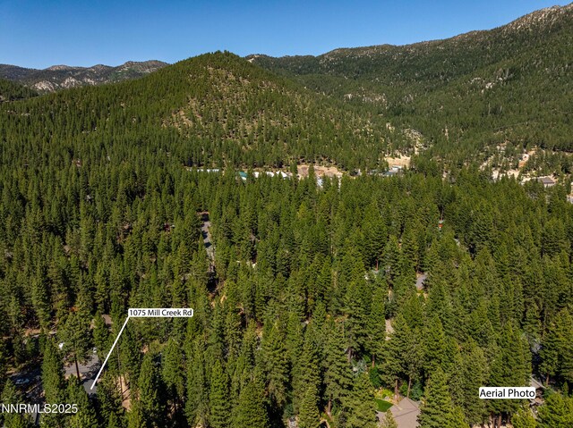 1075 Mill Creek Rd, Incline Village, NV 89451 - photo 45