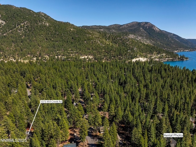 1075 Mill Creek Rd, Incline Village, NV 89451 - photo 46