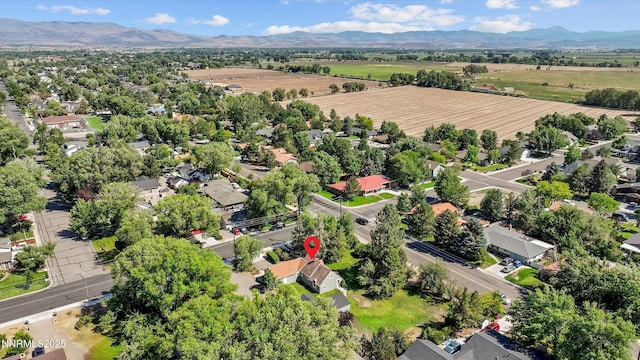 1606 10th St, Minden, NV 89423 - photo 40