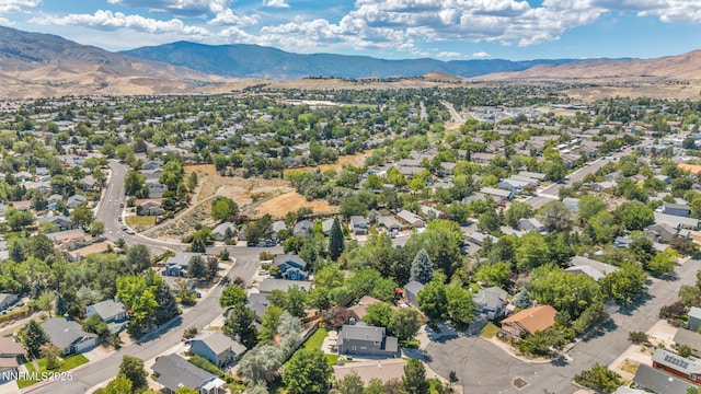 1255 Dry Falls Cir, Reno, NV 89523 - photo 69