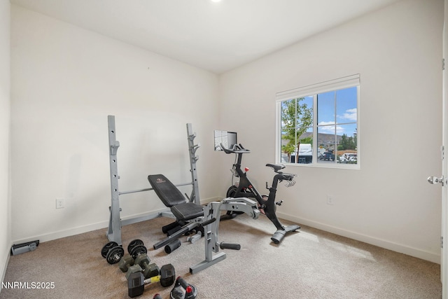 2605 Emerson Cir, Fernley, NV 89408 - photo 20