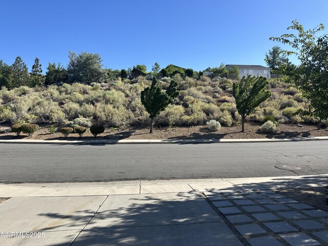 4052 Royal Sage Dr, Reno, NV 89503 - photo 11