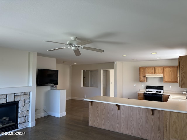 4052 Royal Sage Dr, Reno, NV 89503 - photo 20