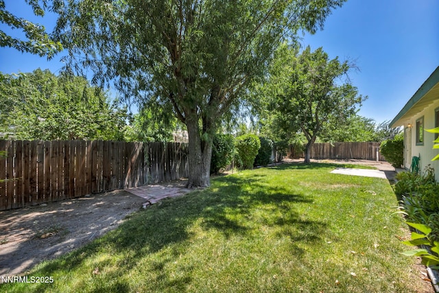 306 Helen Ave, Yerington, NV 89447 - photo 4