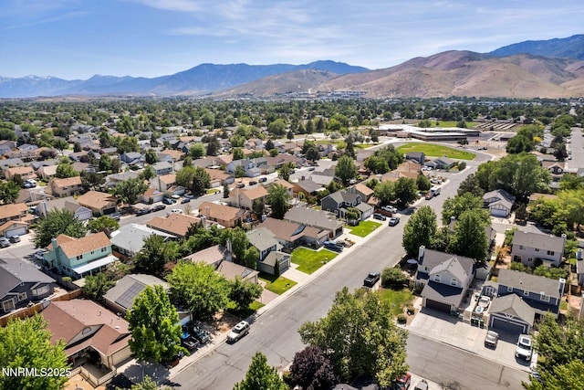 1717 Damon Rd, Carson City, NV 89701 - photo 62