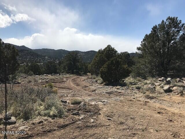 4150 Whiskey Flat Rd, Reno, NV 89521 - photo 3
