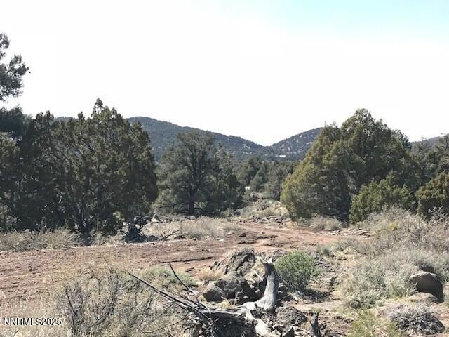 4150 Whiskey Flat Rd, Reno, NV 89521 - photo 4