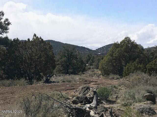 4150 Whiskey Flat Rd, Reno, NV 89521 - photo 5