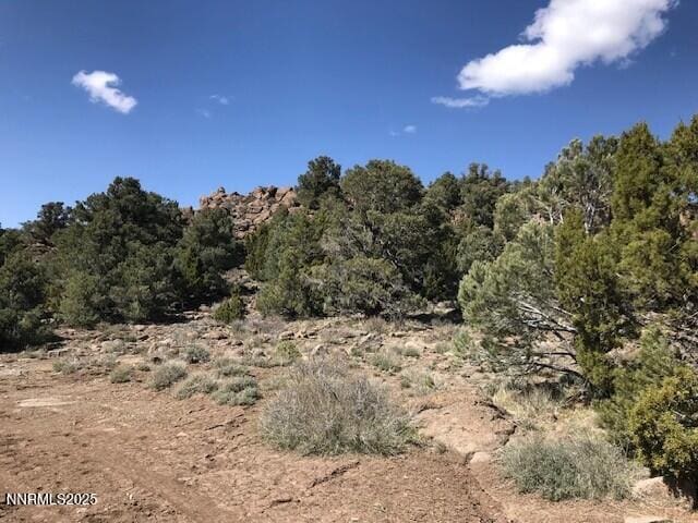 4150 Whiskey Flat Rd, Reno, NV 89521 - photo 6