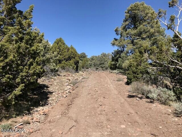 4150 Whiskey Flat Rd, Reno, NV 89521 - photo 7