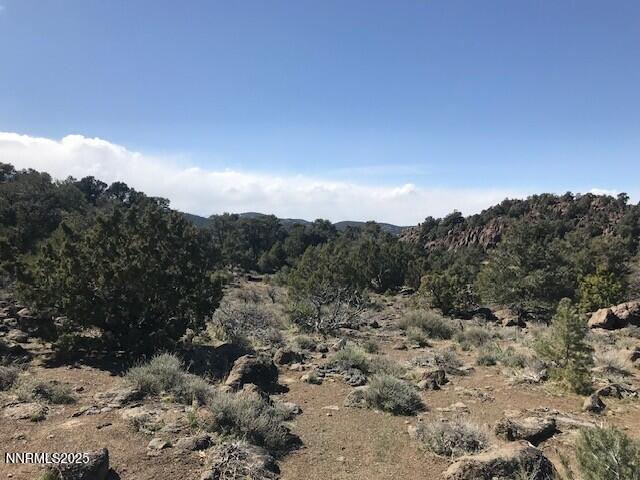4150 Whiskey Flat Rd, Reno, NV 89521 - photo 8
