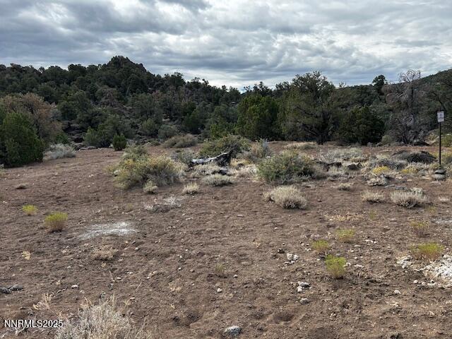 4150 Whiskey Flat Rd, Reno, NV 89521 - photo 9