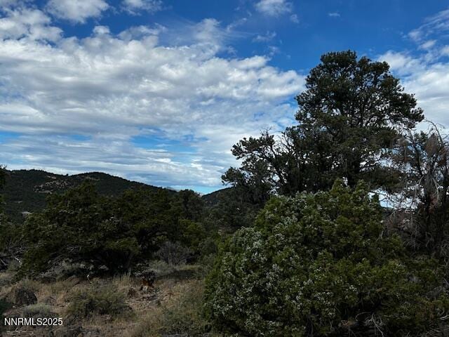 4150 Whiskey Flat Rd, Reno, NV 89521 - photo 10