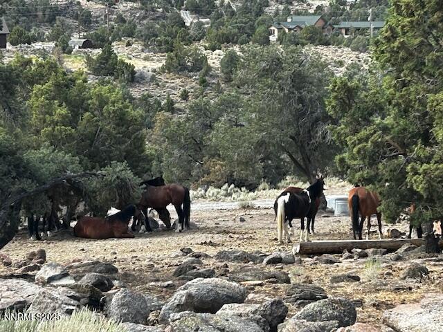 4150 Whiskey Flat Rd, Reno, NV 89521 - photo 11