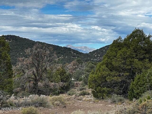 4150 Whiskey Flat Rd, Reno, NV 89521 - photo 12