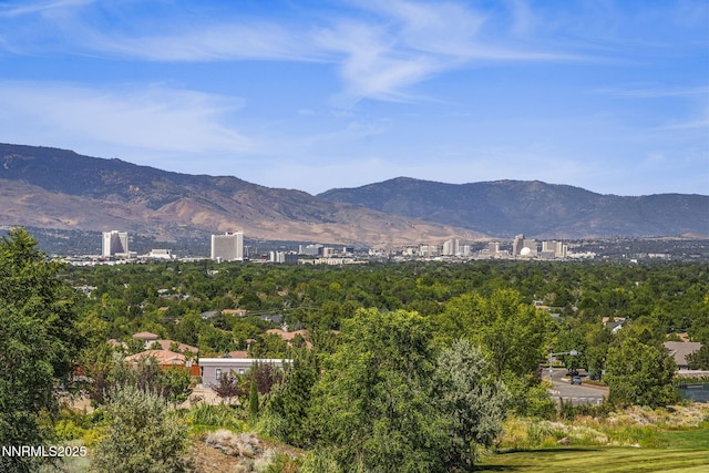 2585 Anqua Dr, Sparks, NV 89434 - photo 22