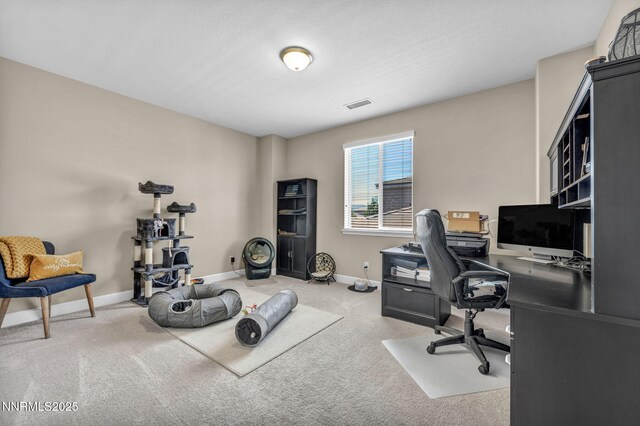 10305 Culiacan Pass Trl, Reno, NV 89521 - photo 65