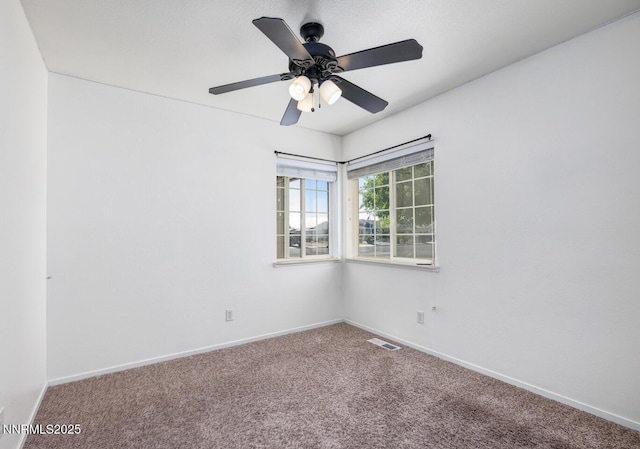 206 Dianna Way, Fallon, NV 89406 - photo 8