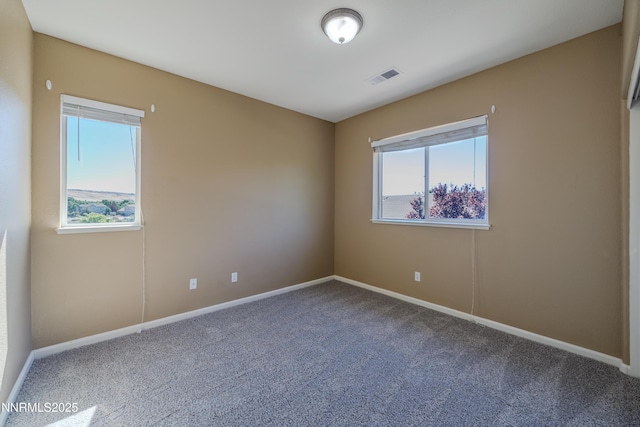 811 Pinchot Pass Ct, Sparks, NV 89436 - photo 29