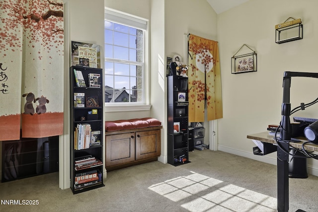 1744 Cloud Peak Dr, Sparks, NV 89436 - photo 46