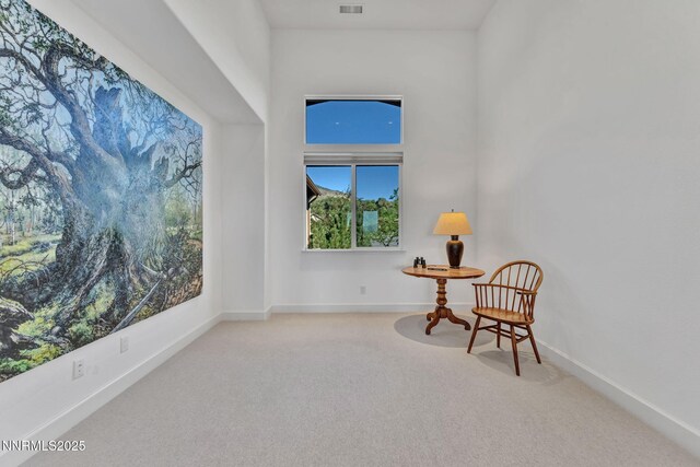 2789 Copperbush Ct, Genoa, NV 89411 - photo 17