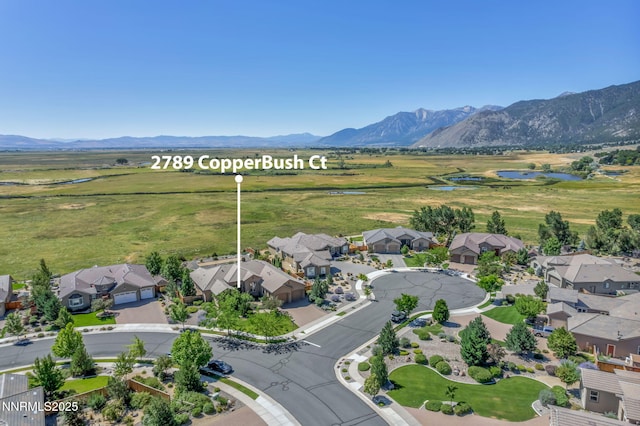 2789 Copperbush Ct, Genoa, NV 89411 - photo 39