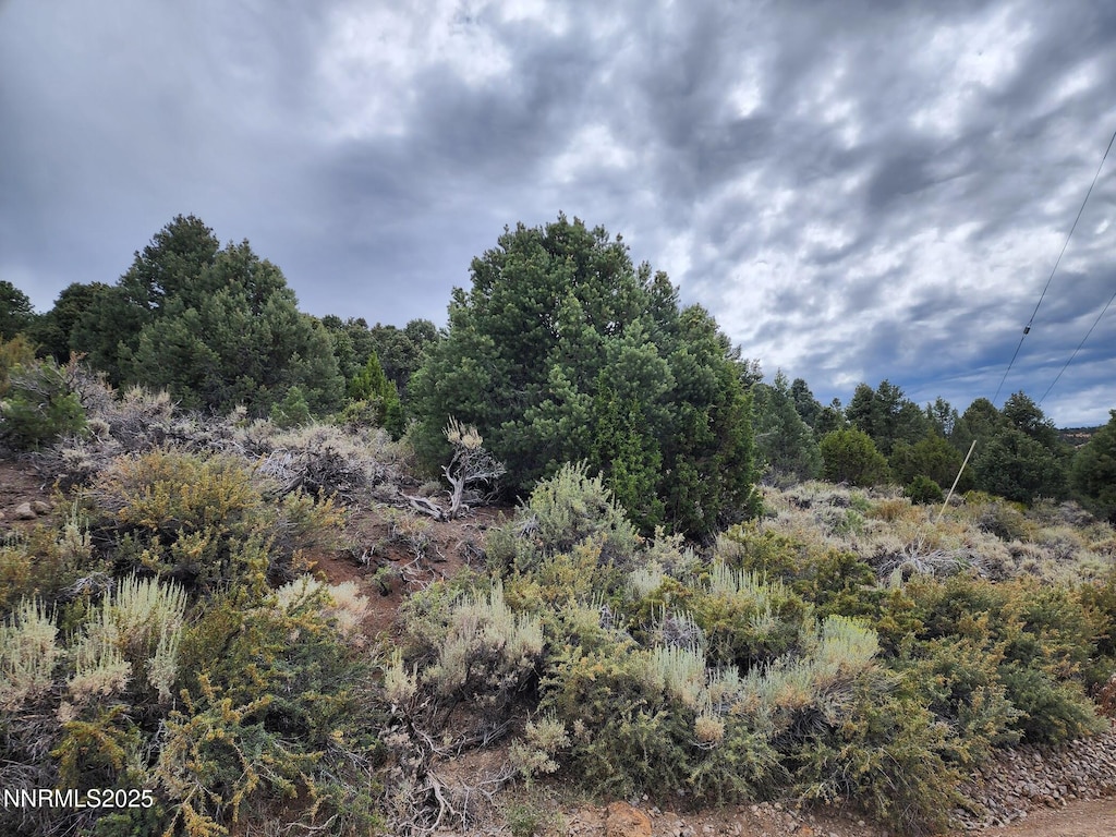 21915 Panhandle Rd, Reno, NV 89521 - photo 2