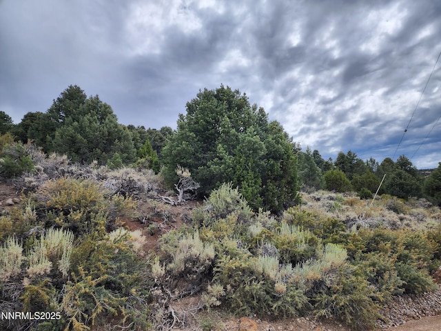 21915 Panhandle Rd, Reno, NV 89521 - photo 2