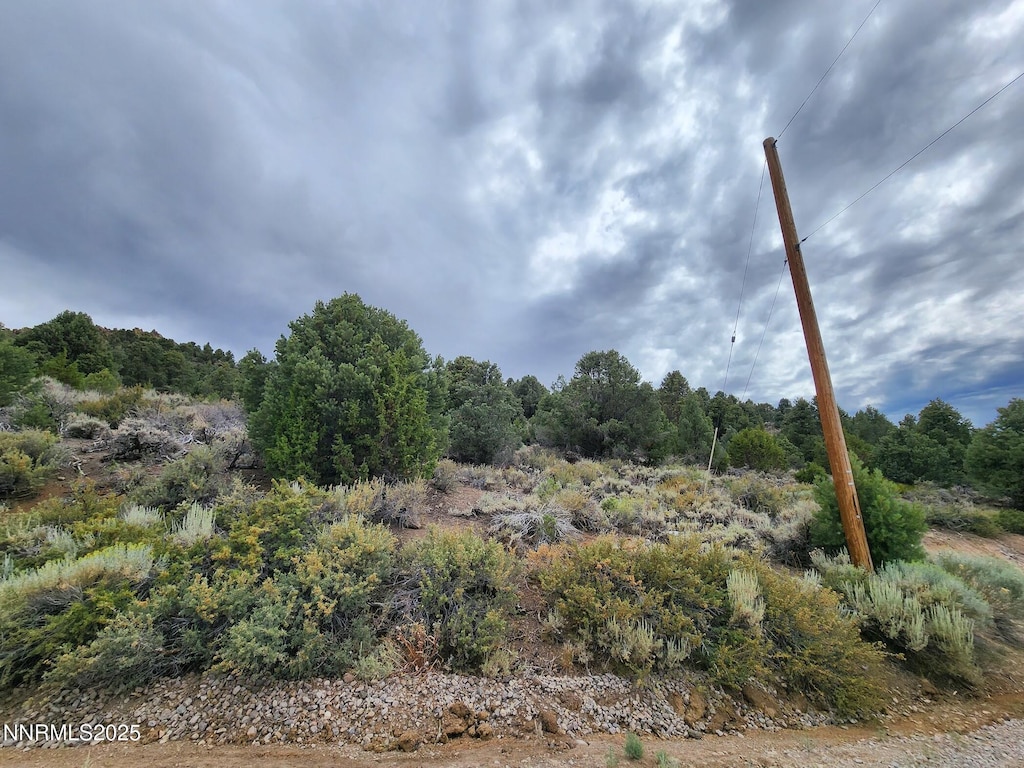 21915 Panhandle Rd, Reno, NV 89521 - photo 3