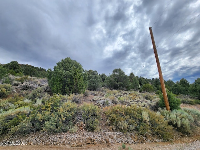 21915 Panhandle Rd, Reno, NV 89521 - photo 3