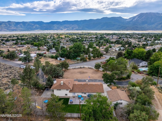 305 Sparrow Way, Washoe Valley, NV 89704 - photo 31