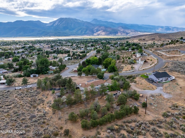 305 Sparrow Way, Washoe Valley, NV 89704 - photo 32