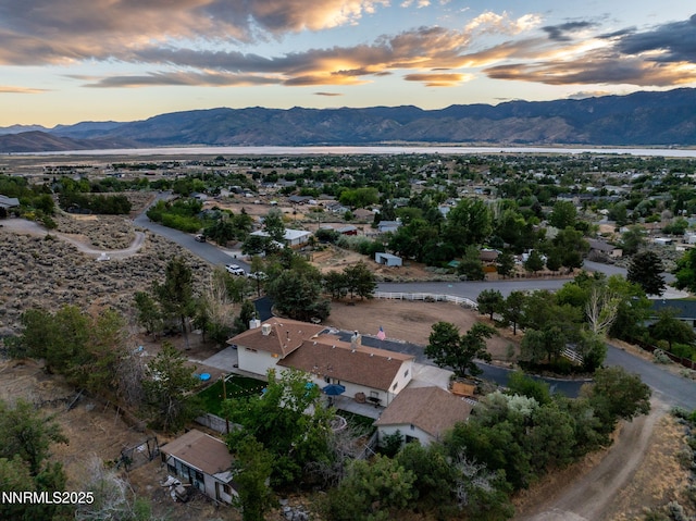305 Sparrow Way, Washoe Valley, NV 89704 - photo 35