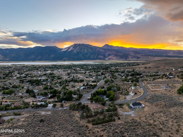 305 Sparrow Way, Washoe Valley, NV 89704 - photo 33